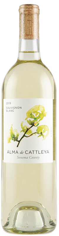 2019 ALMA de CATTLEYA "SONOMA COUNTY" SAUVIGNON BLANC