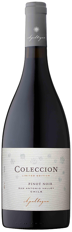 2016 APALTAGUA COLECCION SAN ANTONIO VALLEY PINOT NOIR