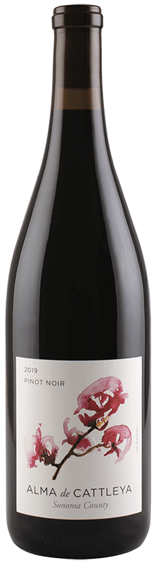 2019 ALMA DE CATTLEYA SONOMA COUNTY PINOT NOIR