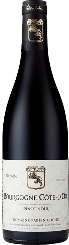 2019 FABIEN COCHE BOURGOGNE COTE D’OR PINOT NOIR