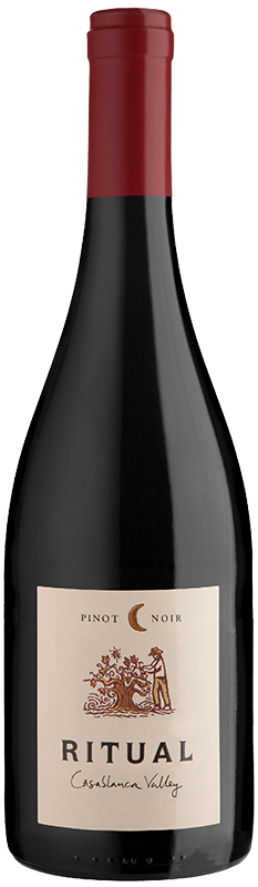 2018 RITUAL CASABLANCA VALLEY PINOT NOIR