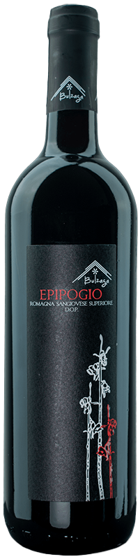 2018 BULZAGA EPIPOGIO ROMAGNA SANGIOVESE SUPERIORE