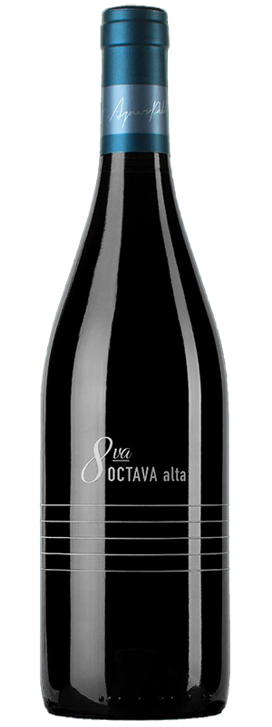 2017 ABREMUNDOS  OCTAVA ALTA UCO VALLEY ARGENTINA RED