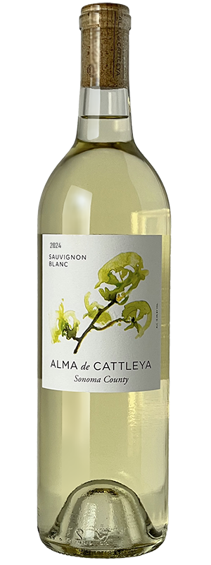 2024 ALMA de CATTLEYA SONOMA COUNTY SAUVIGNON BLANC