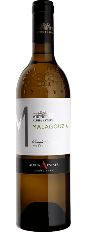 2024 ALPHA ESTATE TURTLES VINEYARD MALAGOUZIA