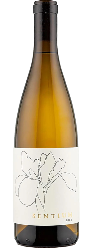 2023 SENTIUM by CONTINUUM MENDOCINO SAUVIGNON BLANC